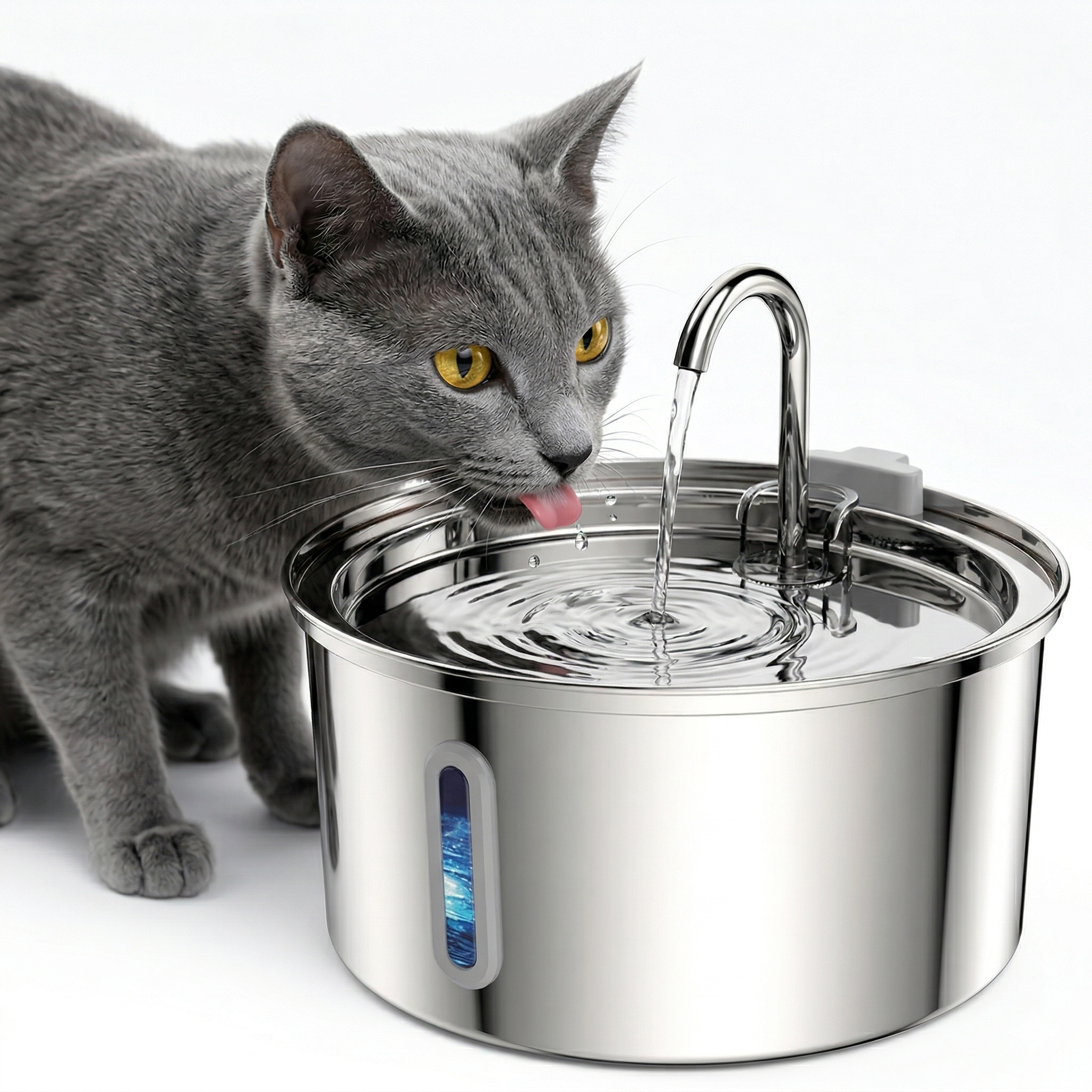 Roostevaba joogifontään elutoas, kass joob vett